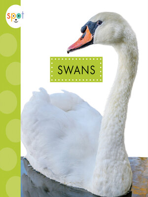 cover image of Swans